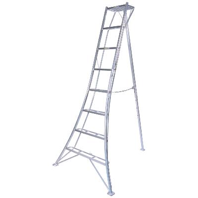 Japanese tripod ladders