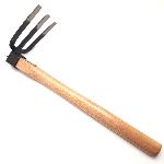 Small Japanese three-toothed claw 